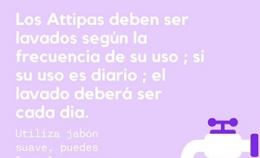CUIDO Y LAVADO DE TUS ATTIPAS